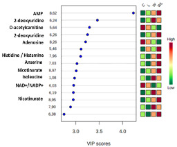 graphic file with name nutrients-12-02106-i002.jpg