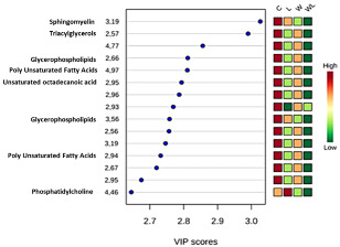 graphic file with name nutrients-12-02106-i003.jpg