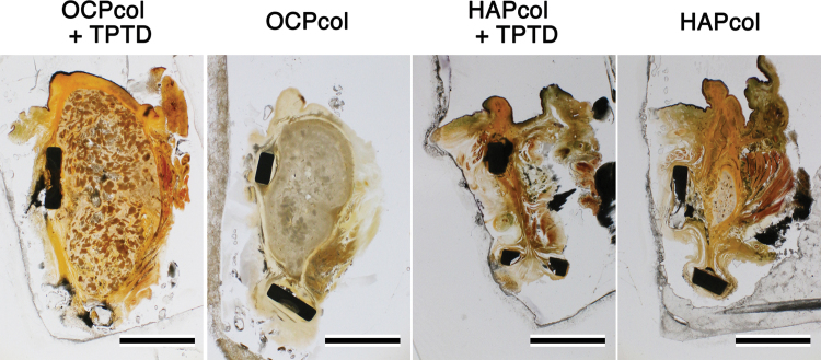 FIG. 10.