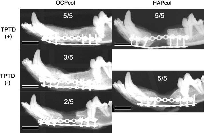 FIG. 5.