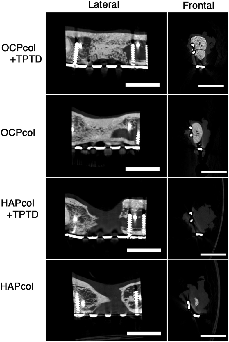 FIG. 7.