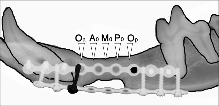 FIG. 3.