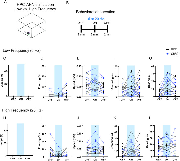 Figure 4—figure supplement 2.