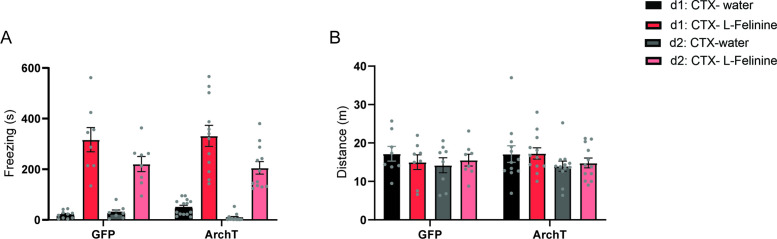 Figure 6—figure supplement 3.