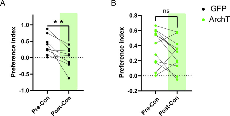 Figure 6—figure supplement 4.