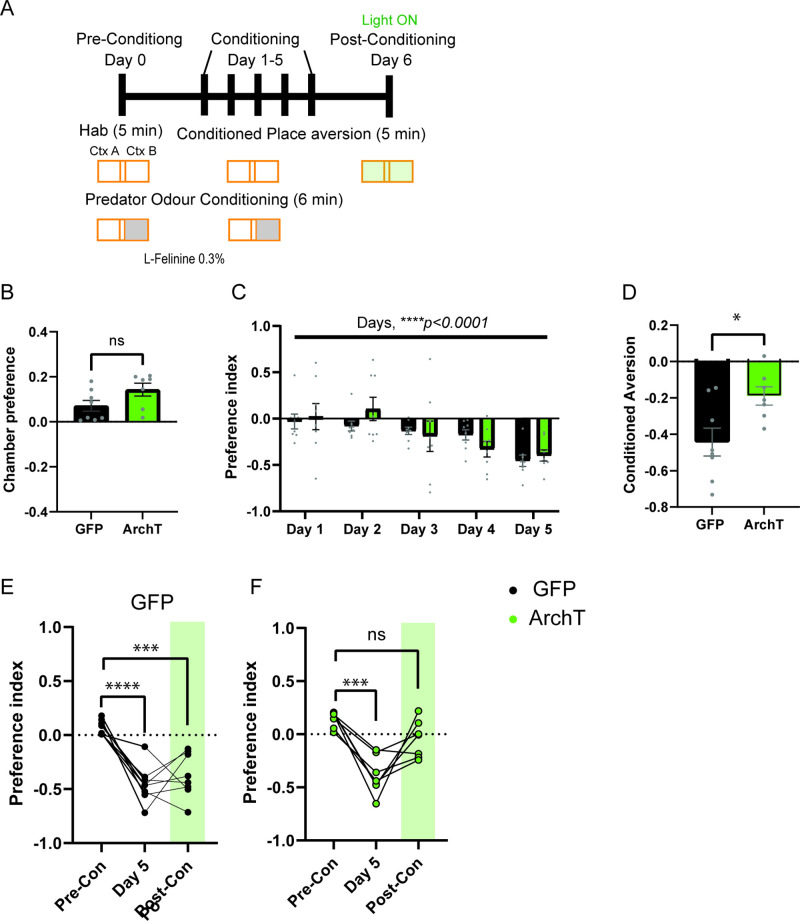 Figure 6—figure supplement 5.