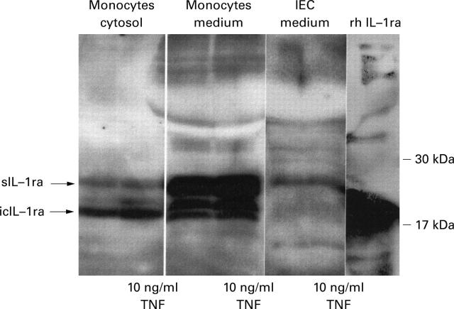 Figure 5  