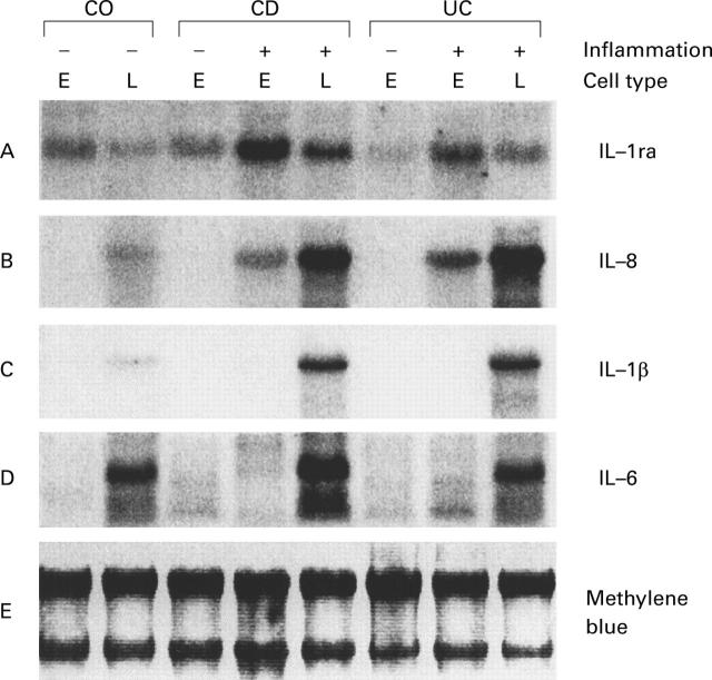 Figure 1  