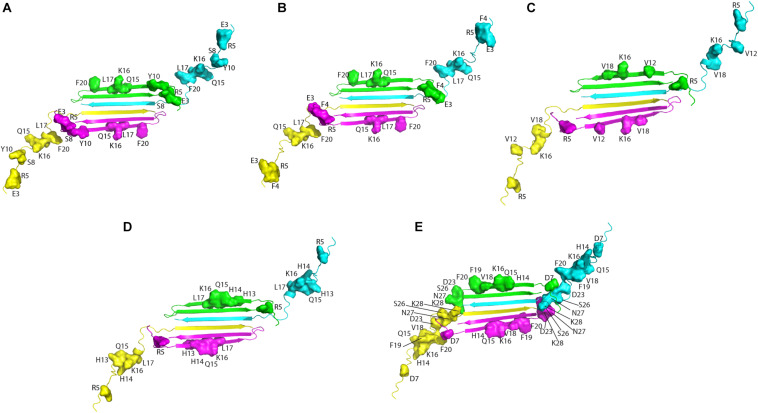 FIGURE 2