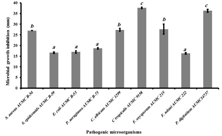 Figure 12