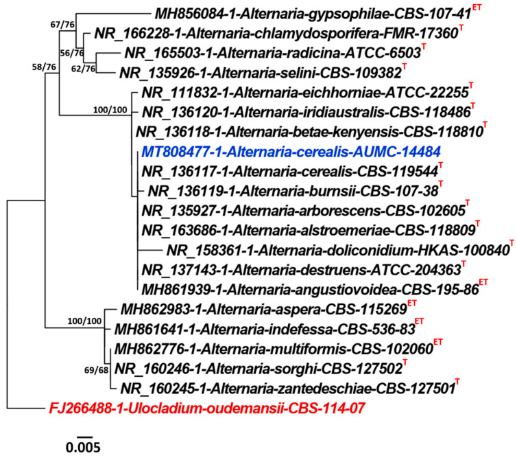 Figure 4