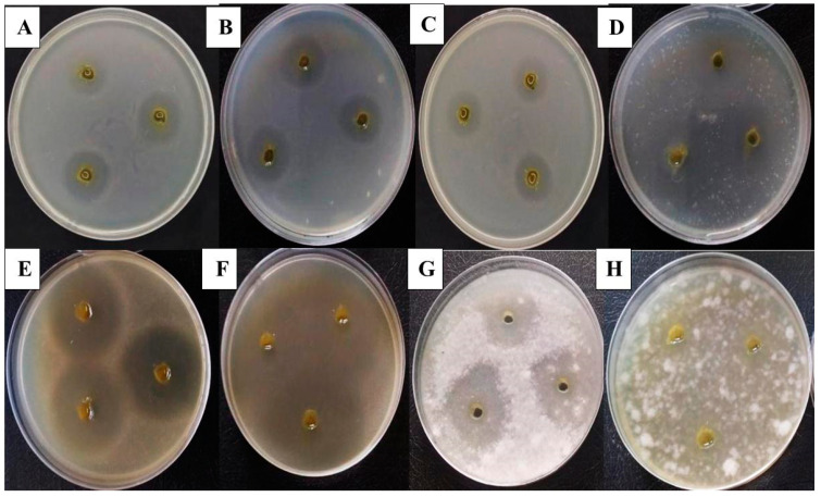 Figure 13