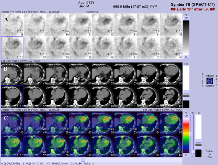 Fig. 6.