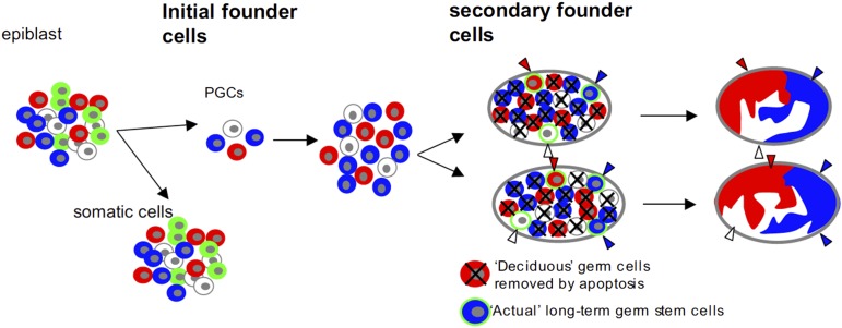 Fig. 7.