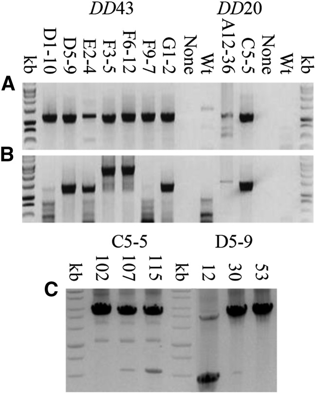 Figure 4.