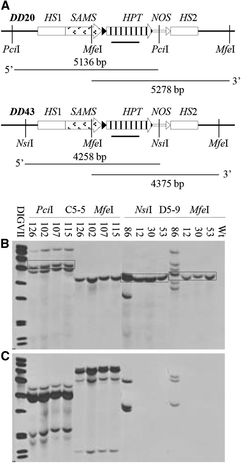 Figure 5.