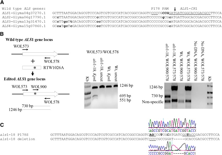 Figure 6.