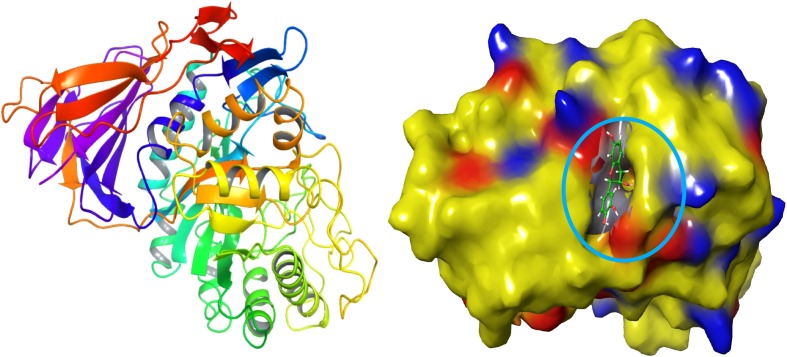 Fig. 1