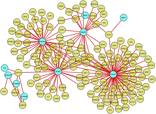 Figure 7