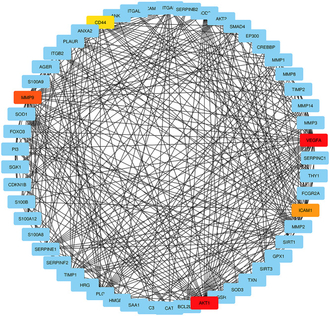 Figure 5