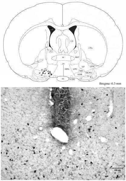 Fig 5