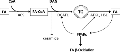 FIGURE 7.