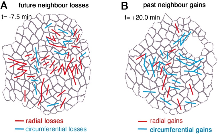 Figure 5—figure supplement 1.