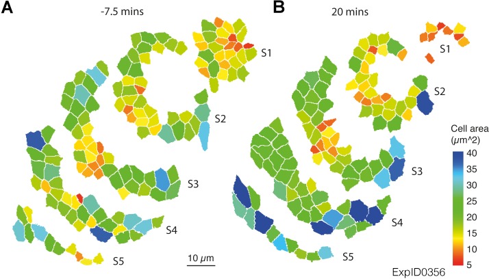 Figure 1—figure supplement 1.