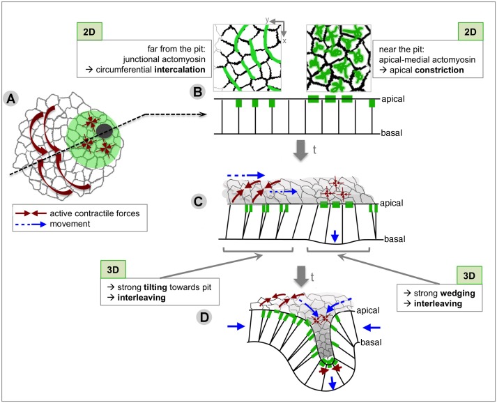 Figure 10.