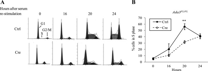 FIGURE 2.