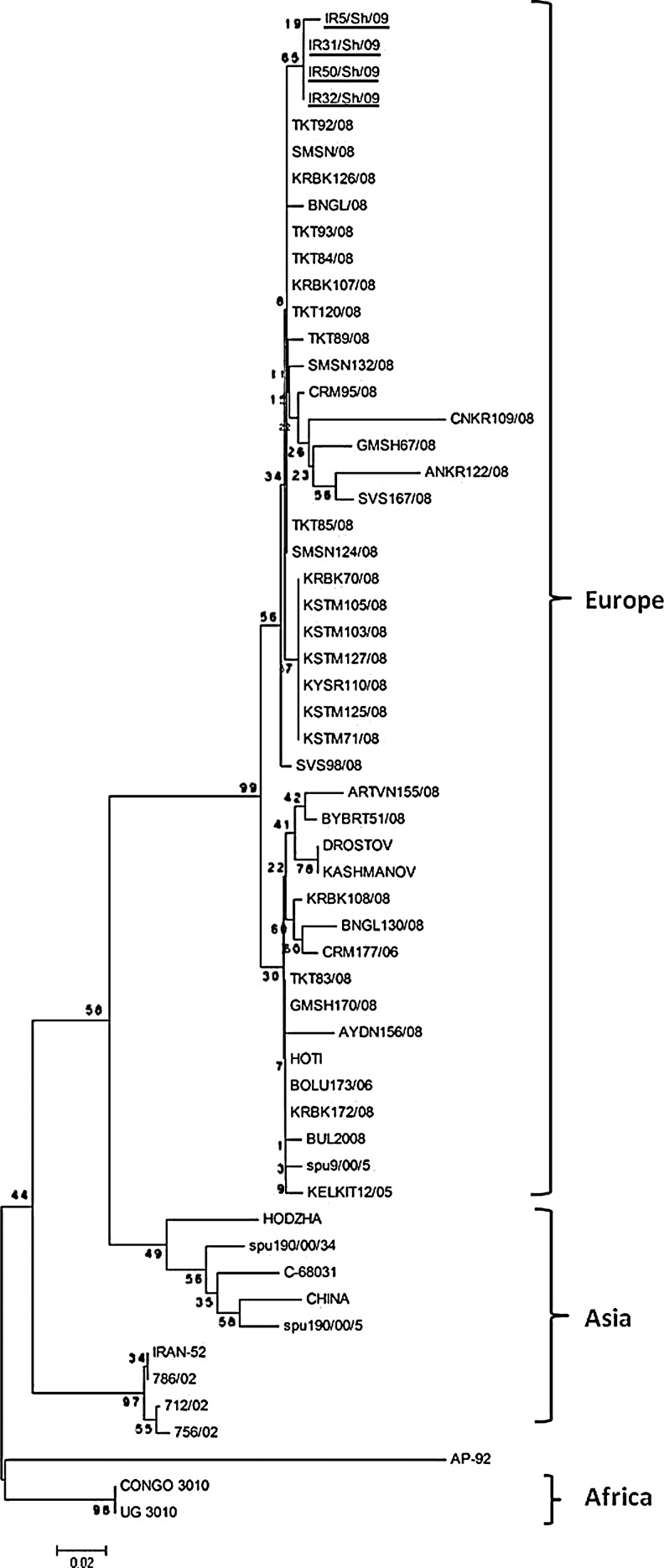 FIG. 2.