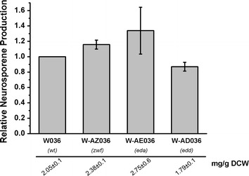 Fig. 3