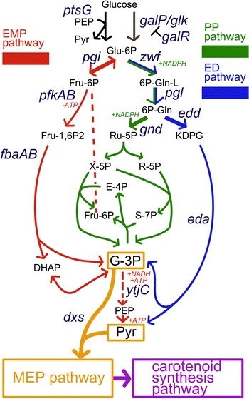 Fig. 1