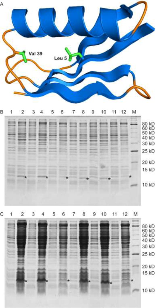 Figure 12