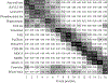 Figure 6: