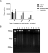 FIG 5