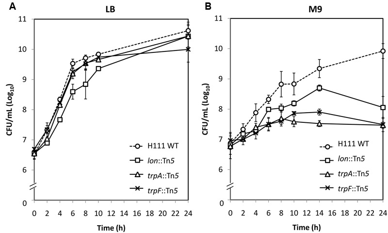 FIGURE 7