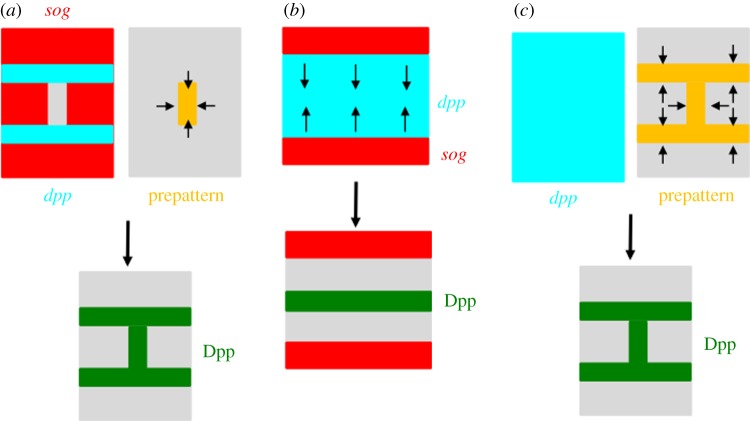 Figure 3.