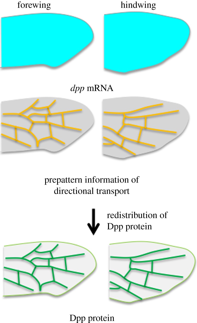 Figure 4.