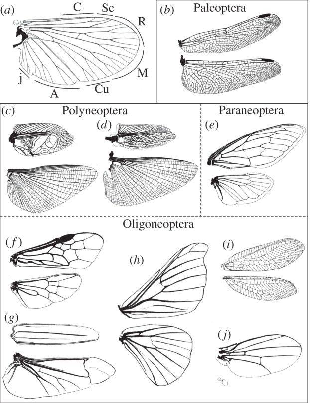 Figure 1.