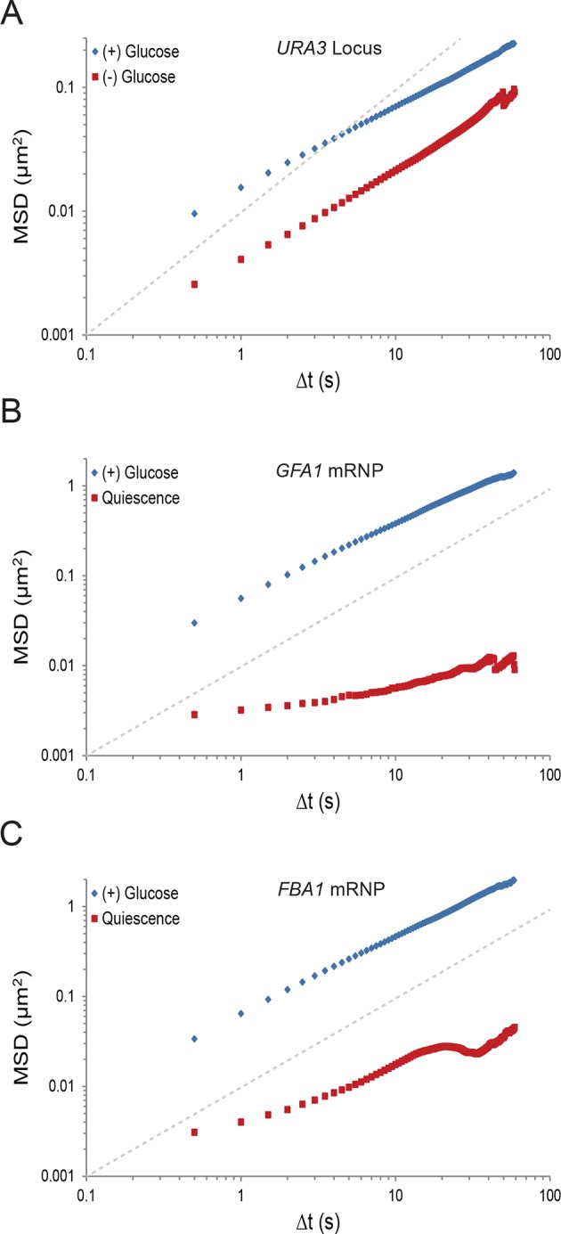 Figure 1—figure supplement 2.