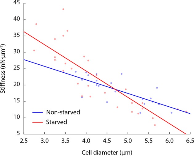 Figure 6—figure supplement 1.