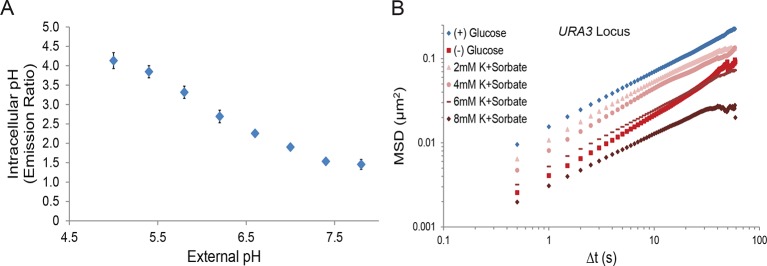 Figure 4—figure supplement 1.