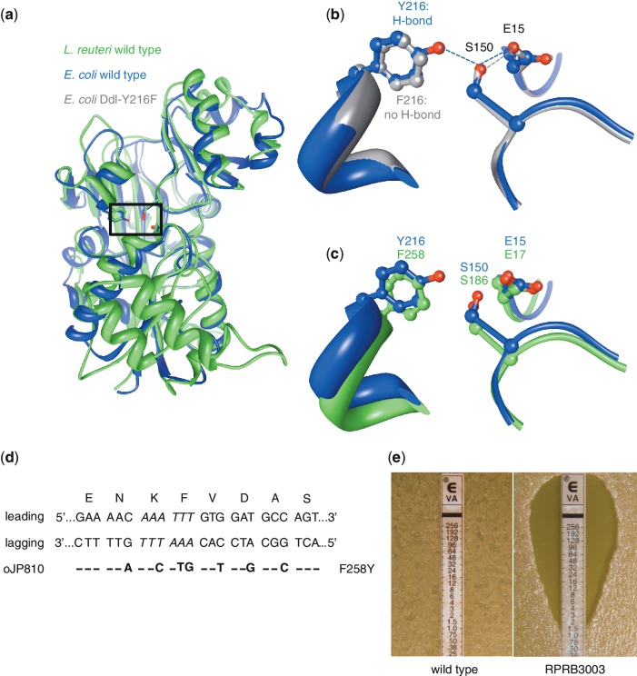 Figure 5.