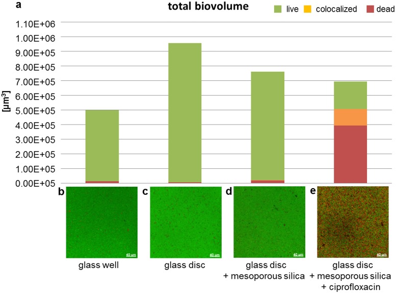 Fig 10