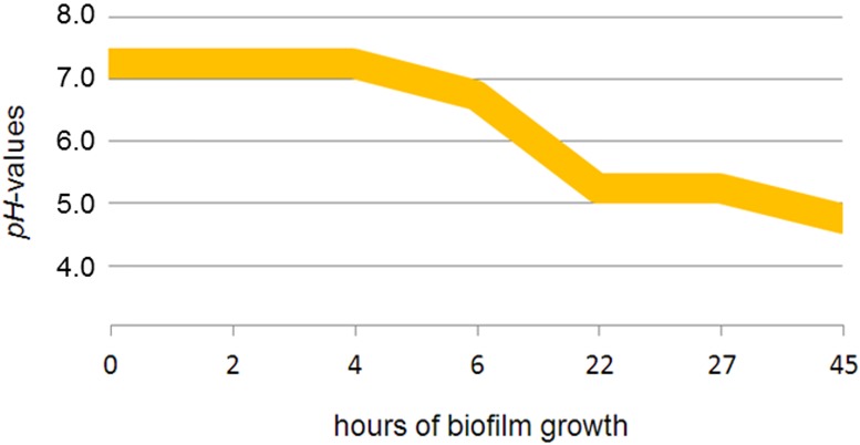 Fig 9