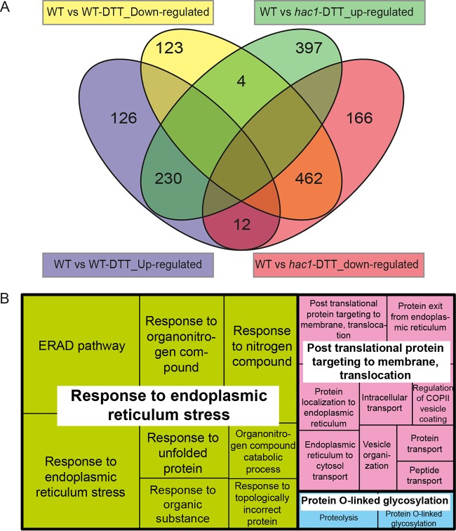 FIG 2