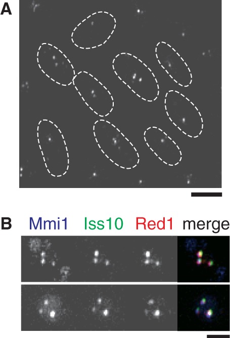 Figure 3.