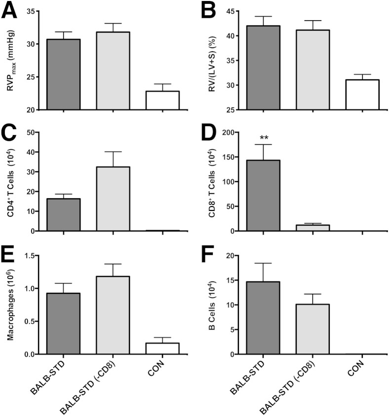 Figure 7