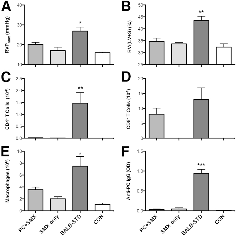 Figure 6